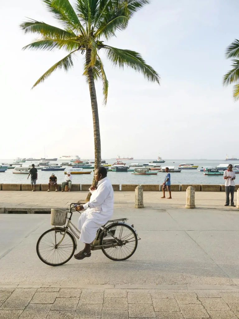 pexels-qarim-zam-814182490-20632274